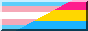trans pan flag
